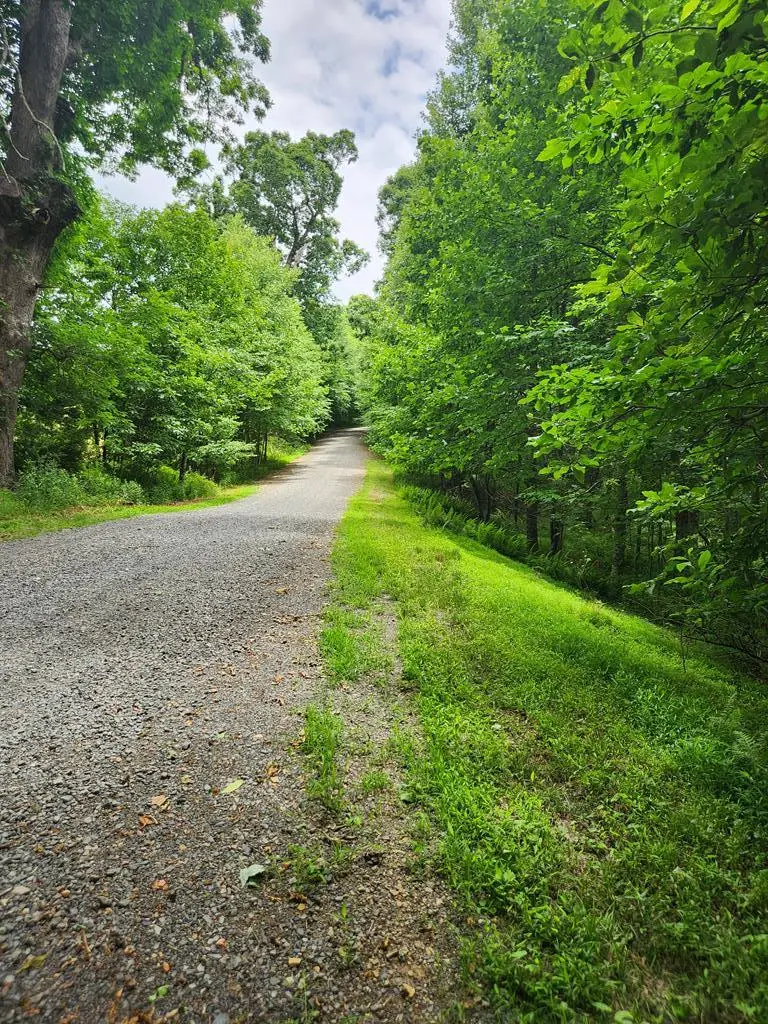 TBD Glennburn Ln, Blue Ridge, VA 24177 - #2