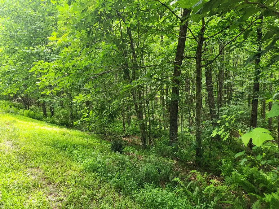 TBD Glennburn Ln, Blue Ridge, VA 24177 - #3