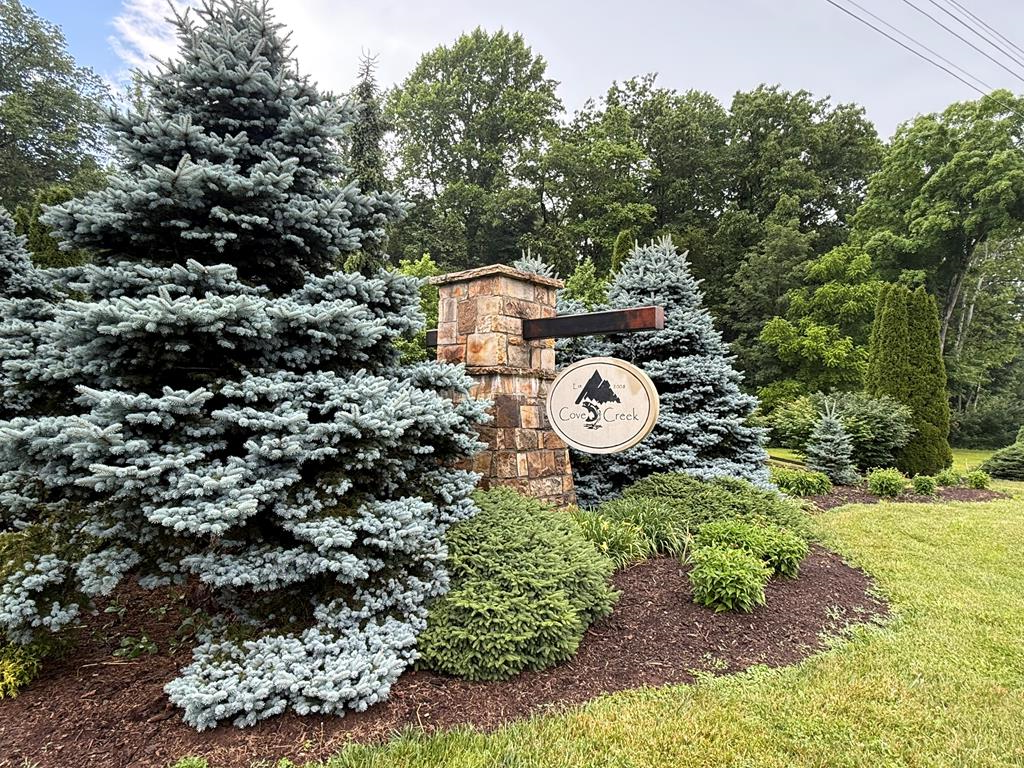 TBD Cove Creek RD- State Route 662, Bastian, VA 24314 - #1
