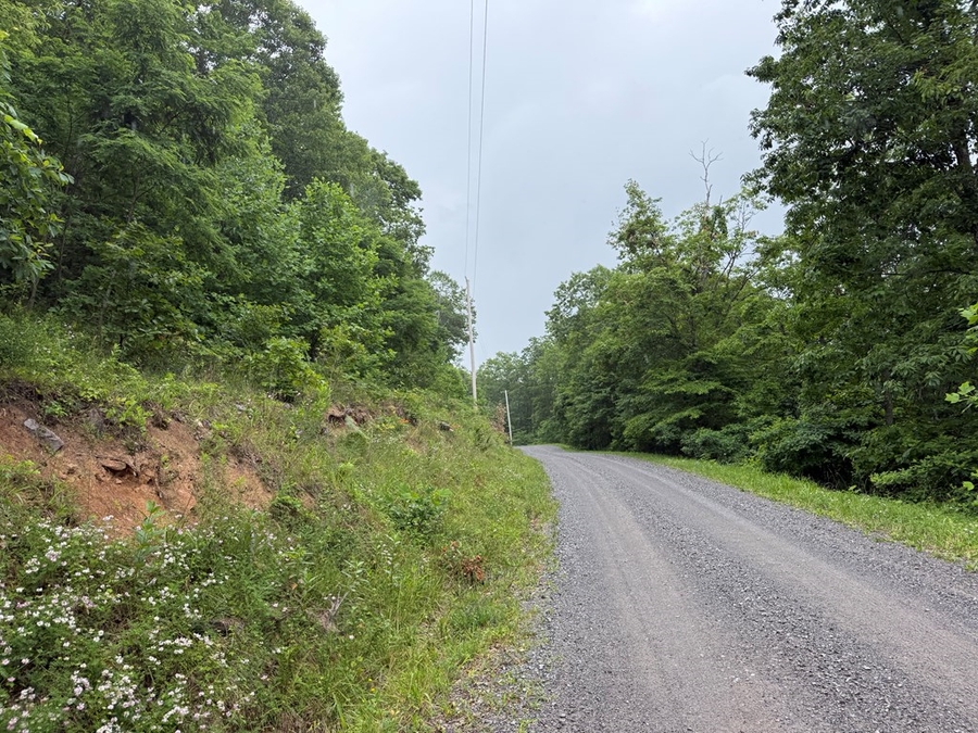 TBD Cove Creek RD- State Route 662, Bastian, VA 24314 - #3