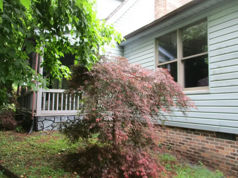 9191 Lesterfield Lane, Glade Spring, VA 24340 - #2
