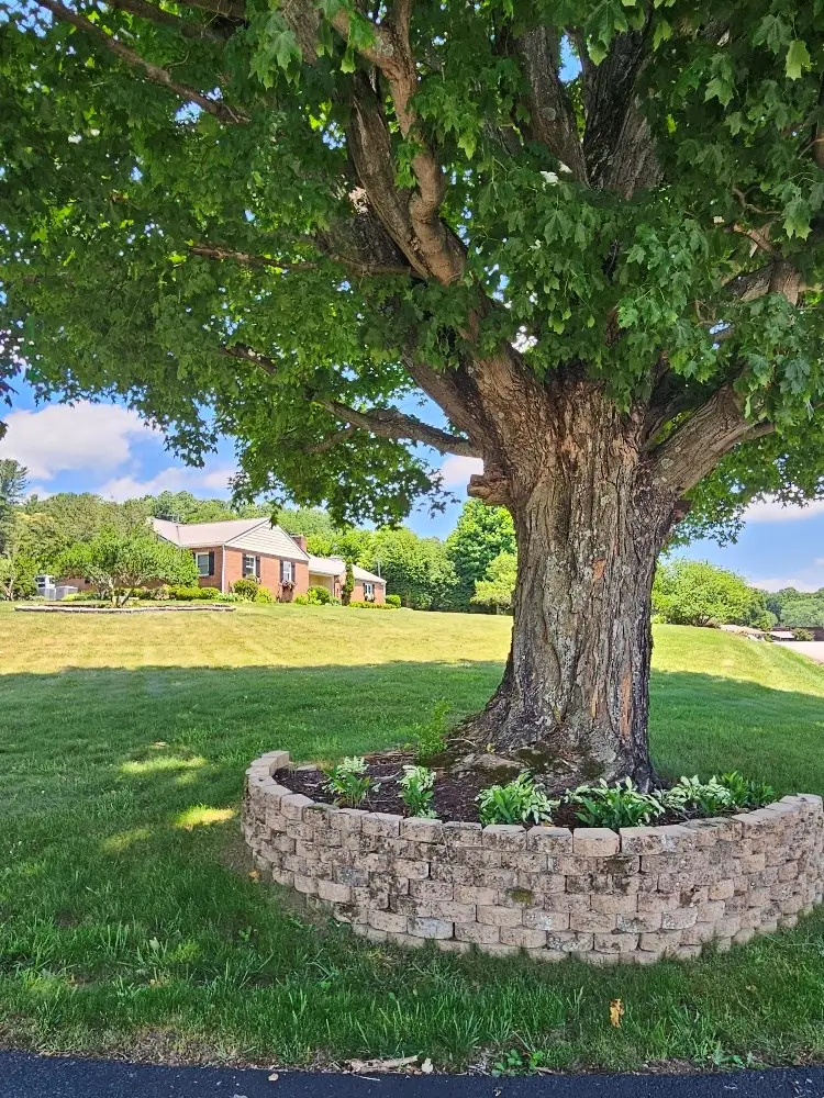 481 Wassona Dr, Marion, VA 24354 - #2