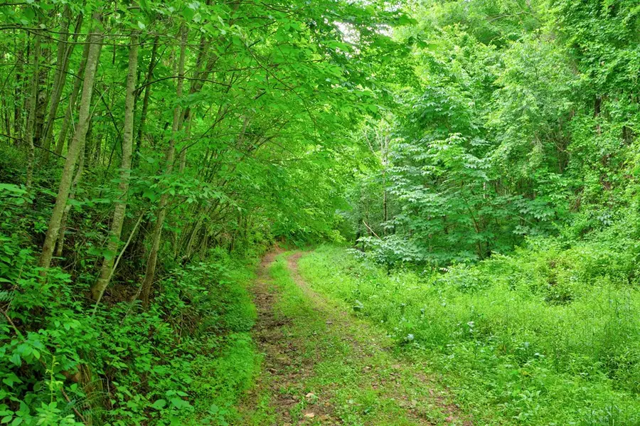 Lot 88 Goodpasture Hollow Rd, Marion, VA 24354 - #3