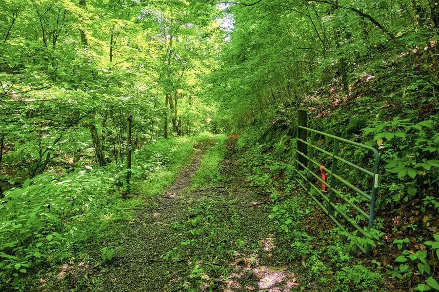 Lot 87 Goodpasture Hollow Rd, Marion, VA 24354 - #2
