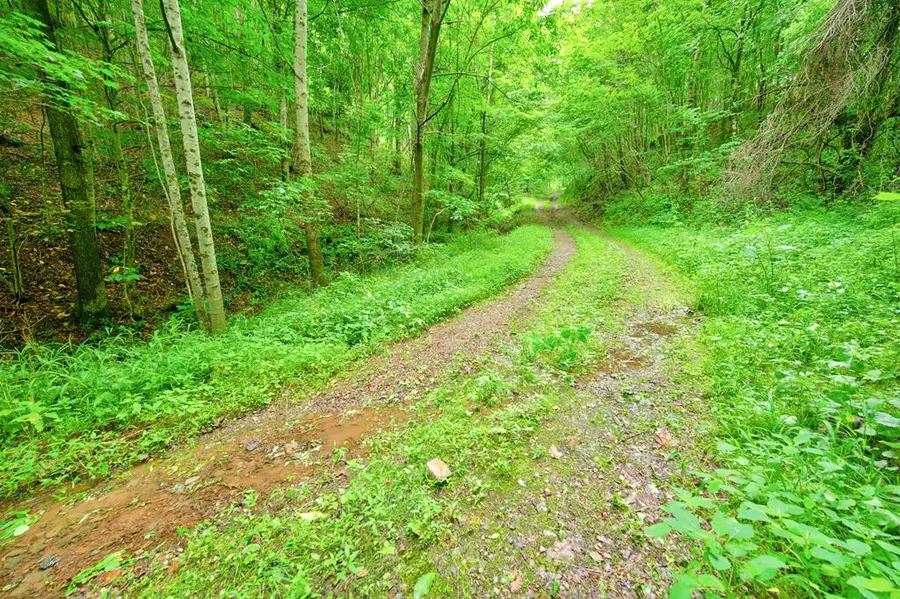 Lot 87 Goodpasture Hollow Rd, Marion, VA 24354 - #3