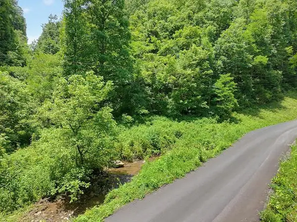TBD Heralds Valley Road, Castlewood, VA 24224