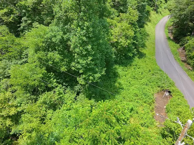 TBD Heralds Valley Road, Castlewood, VA 24224 - #2