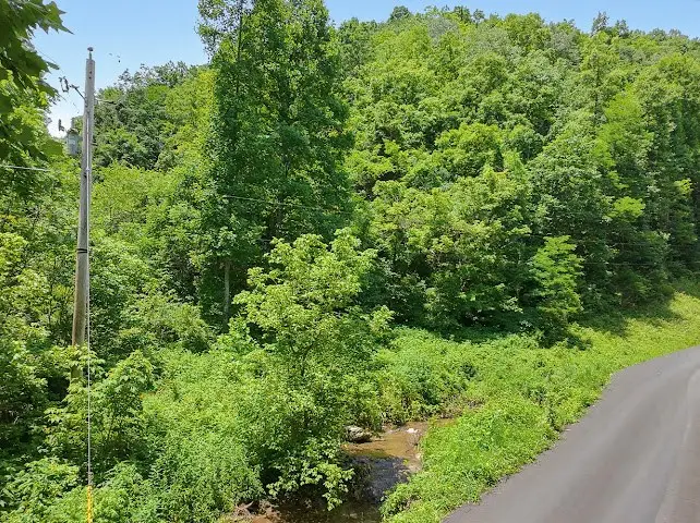 TBD Heralds Valley Road, Castlewood, VA 24224 - #3