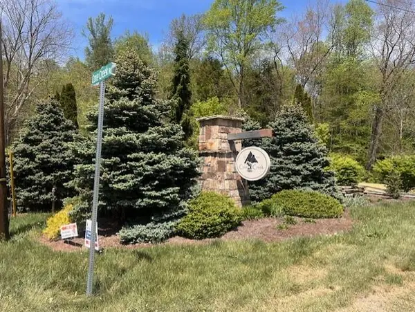 LOT 12 COVE CREEK, Bastian, VA 24314