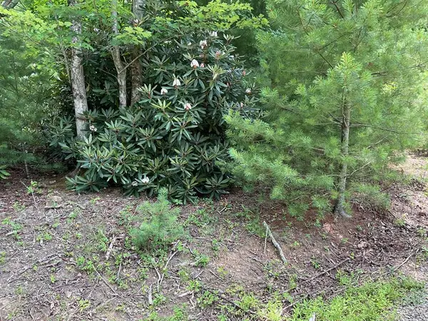 555 Evergreen Trail, Fancy Gap, VA 24328