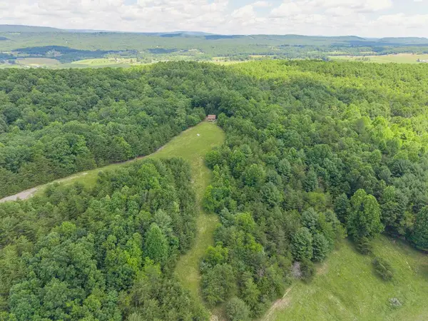 TBD Locust Hill Rd, Max Meadows, VA 24360