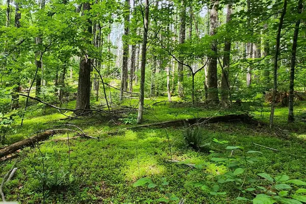 Lot 45 Southern View Trail, Fancy Gap, VA 24328