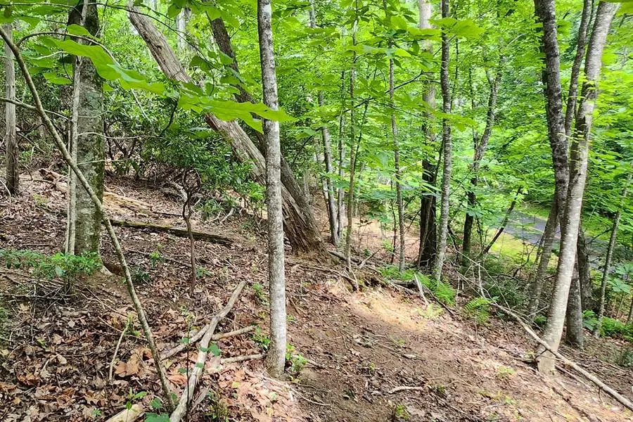 Lot 45 Southern View Trail, Fancy Gap, VA 24328 - #2