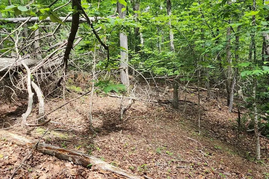 Lot 45 Southern View Trail, Fancy Gap, VA 24328 - #3