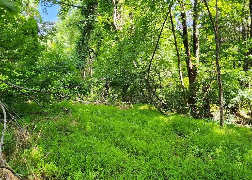 Lot 65 Southern View Trail, Fancy Gap, VA 24328 - #1