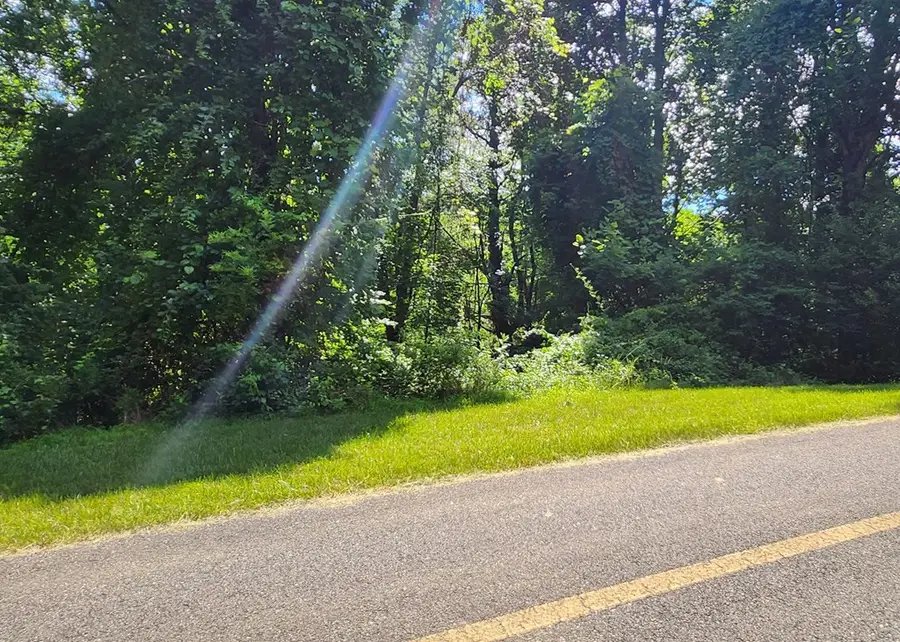 Lot 65 Southern View Trail, Fancy Gap, VA 24328 - #2