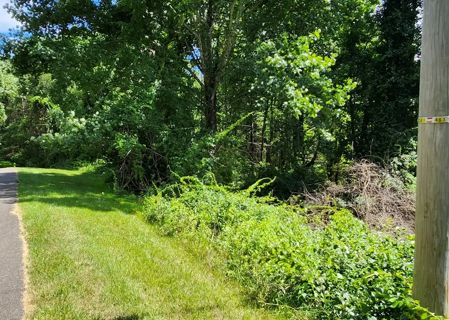 Lot 65 Southern View Trail, Fancy Gap, VA 24328 - #3