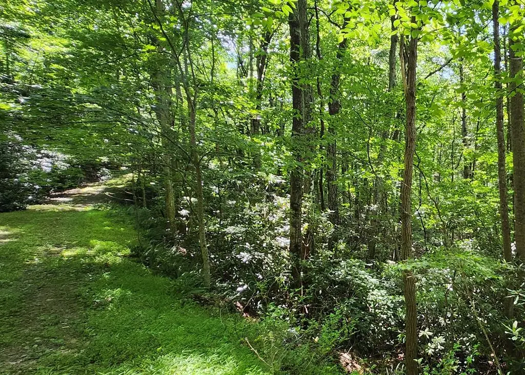 Lot 16 Misty Dawn Trail, Fancy Gap, VA 24328 - #1