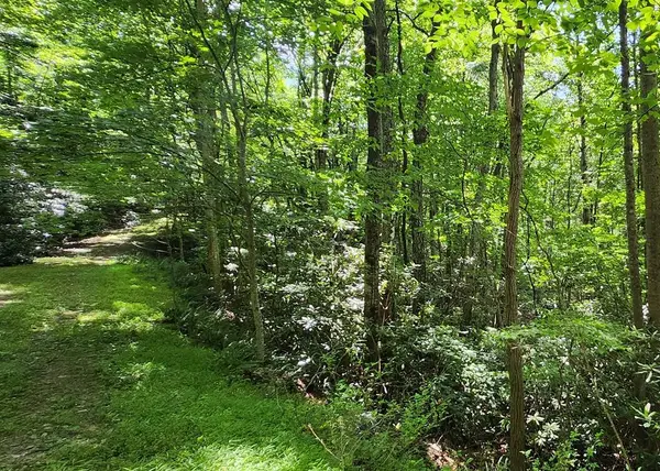 Lot 16 Misty Dawn Trail, Fancy Gap, VA 24328