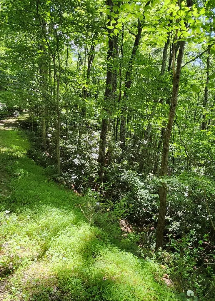 Lot 16 Misty Dawn Trail, Fancy Gap, VA 24328 - #2