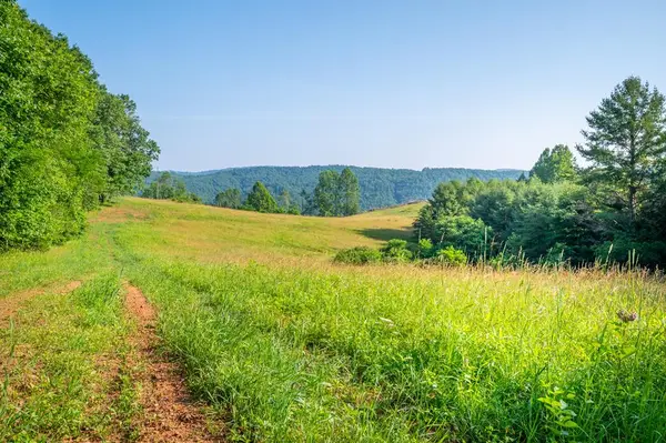 000 Fairhaven Drive, Dugspur, VA 24325
