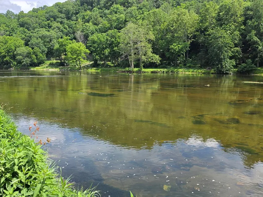 3745 New River Pkwy, Independence, VA 24348 - #1