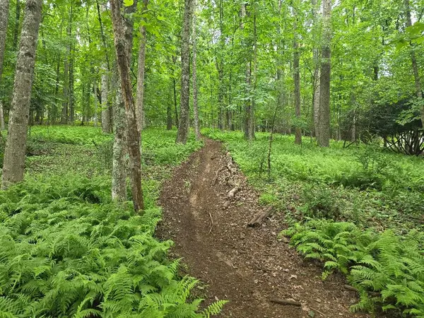 TBD Starmount Ln, Galax, VA 24333