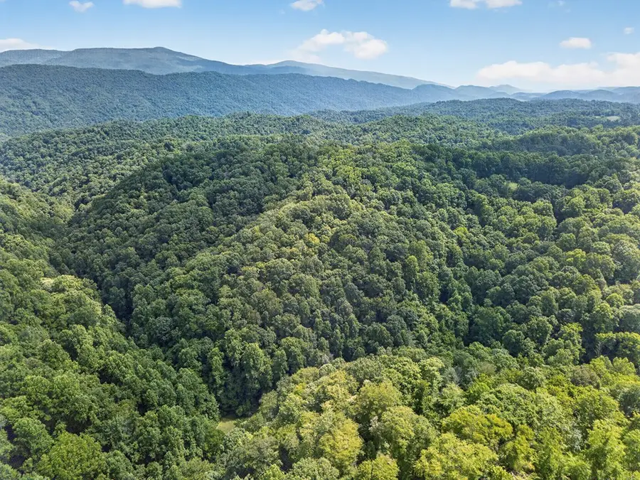 TBD Earth Road, Meadowview, VA 24361 - #3
