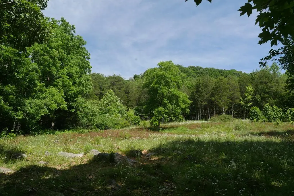 TBD Saratoga Lane, Nickelsville, VA 24271 - #1