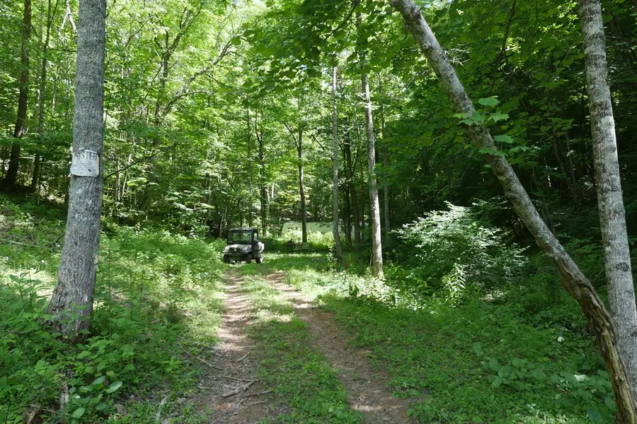 TBD Saratoga Lane, Nickelsville, VA 24271 - #2