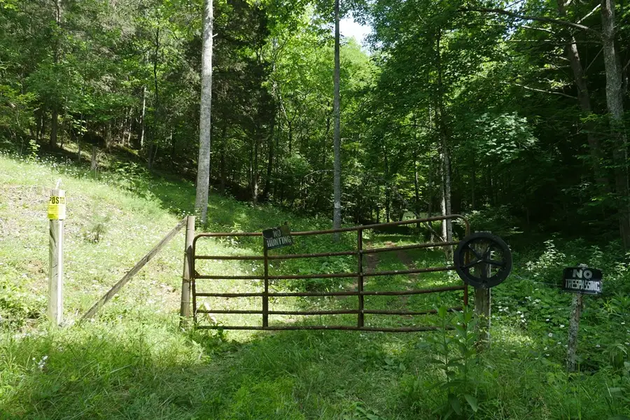 TBD Saratoga Lane, Nickelsville, VA 24271 - #3