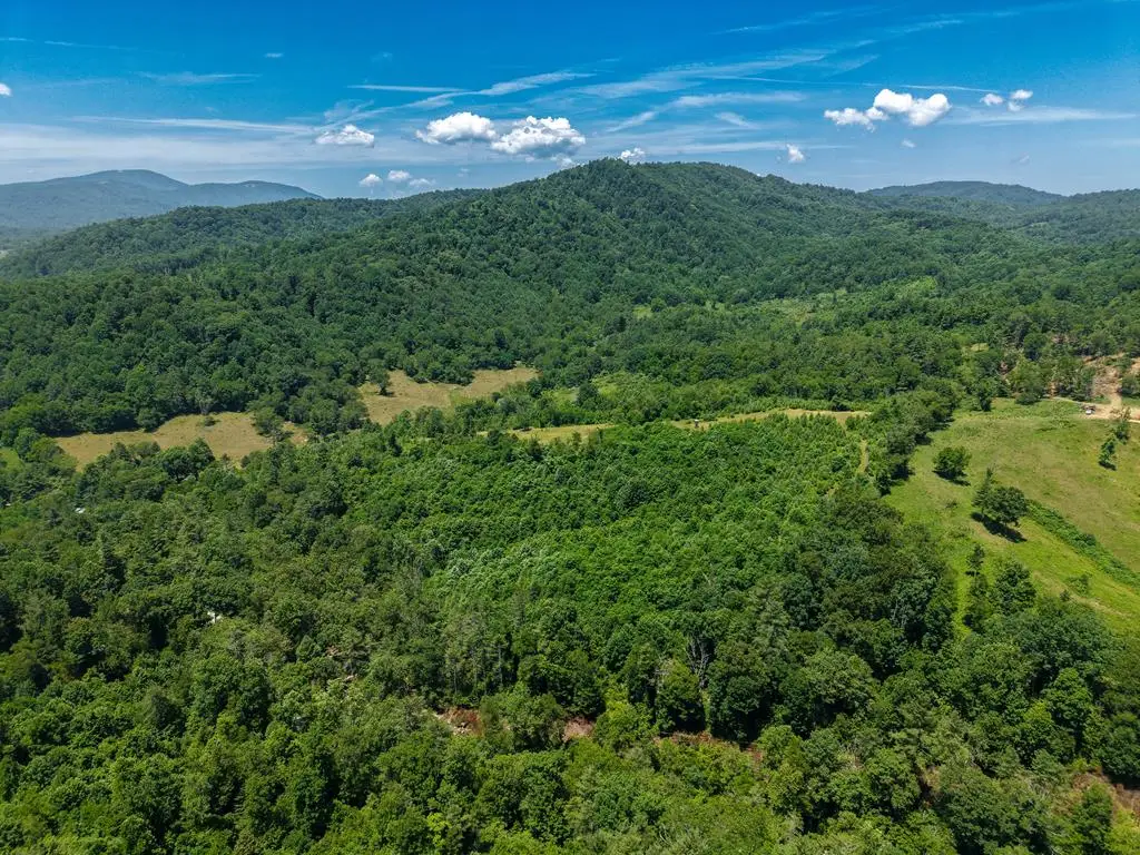 TBD Clito Road, Fries, VA 24330 - #1
