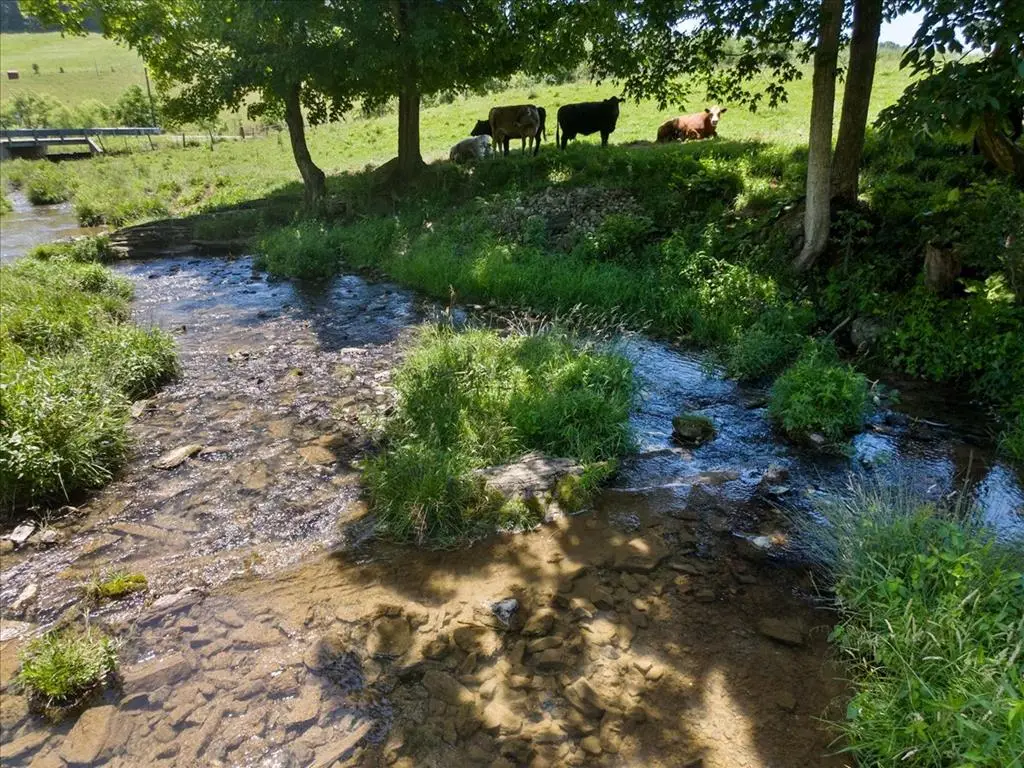 TBD Foglesong Rd., & Birch Grove Rd., Ceres, VA 24318 - #1
