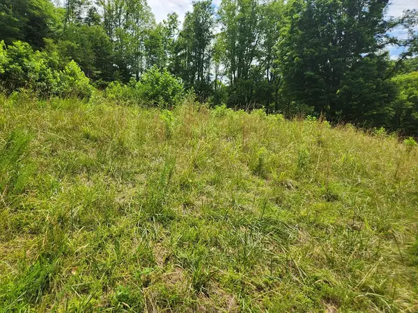 28 Griffith Hill Rd, Ferrum, VA 24088
