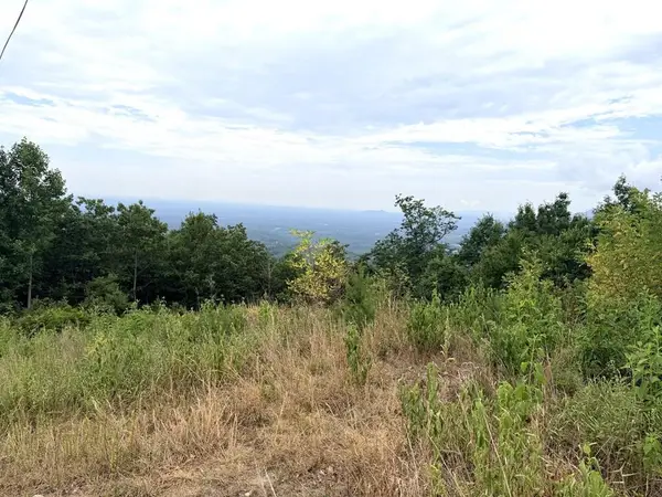 TBD Reflection Point Tr, Fancy Gap, VA 24328