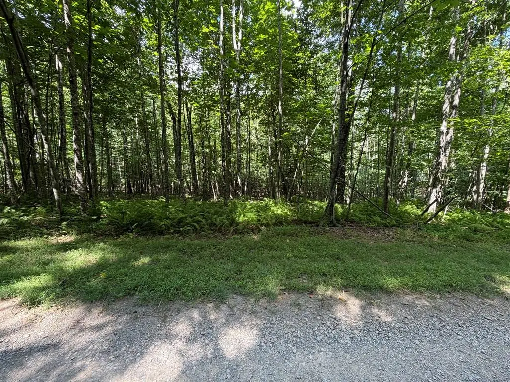 TBD Oak Valley Lane, Galax, VA 24333 - #1