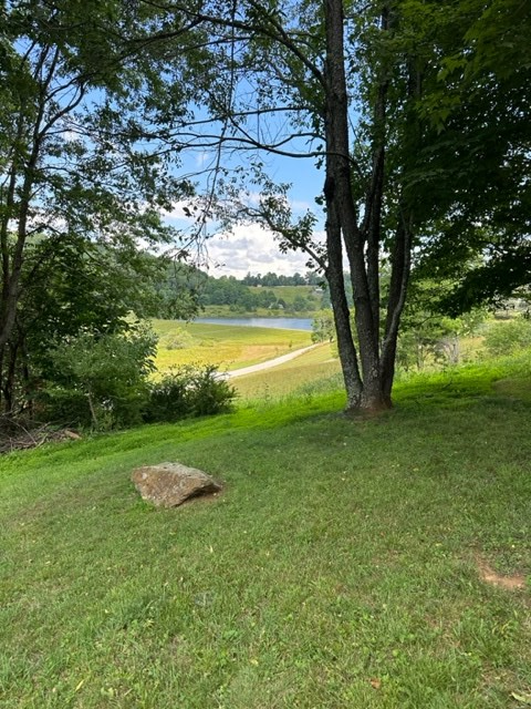 124 Winterplace Ln., Independence, VA 24348 - #3