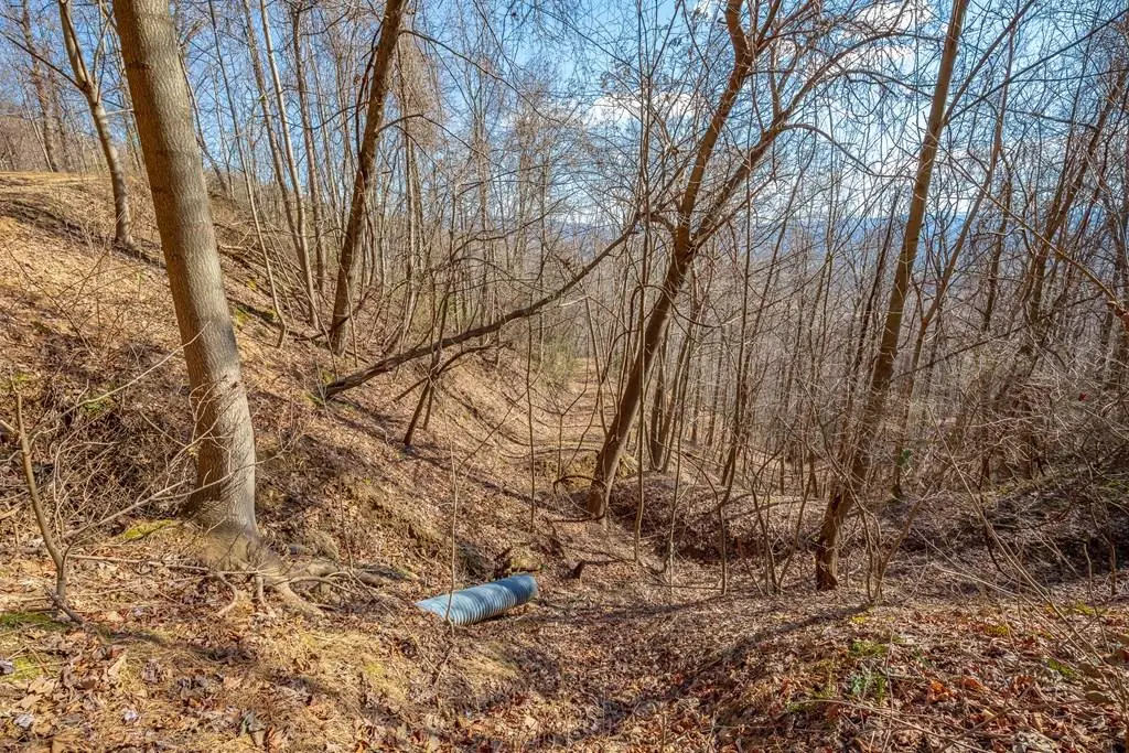 Lot 120 Spring Pond Trl, Fancy Gap, VA 24328 - #1