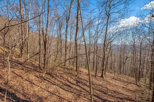 Lot 117 Spring Pond Trl, Fancy Gap, VA 24328