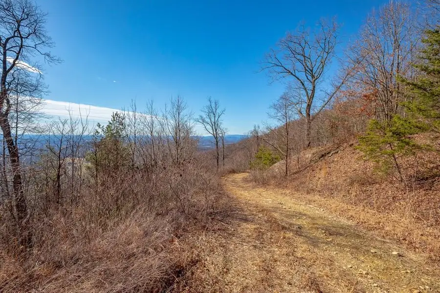 Lot 117 Spring Pond Trl, Fancy Gap, VA 24328 - #2