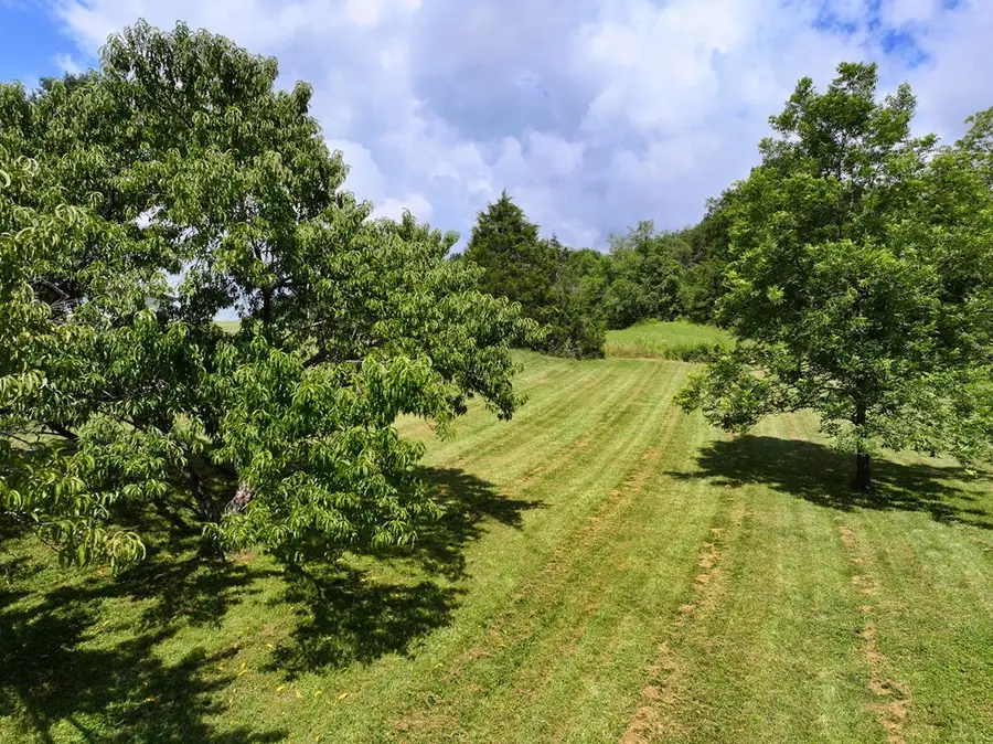 29311 Poor Valley Road, Saltville, VA 24370 - #3