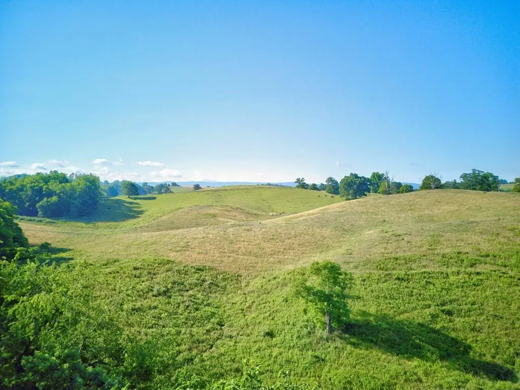 TBD Colecrest Dr., Chilhowie, VA 24319 - #1