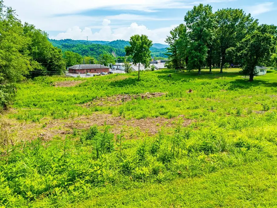 TBD Althea St, Marion, VA 24354 - #2