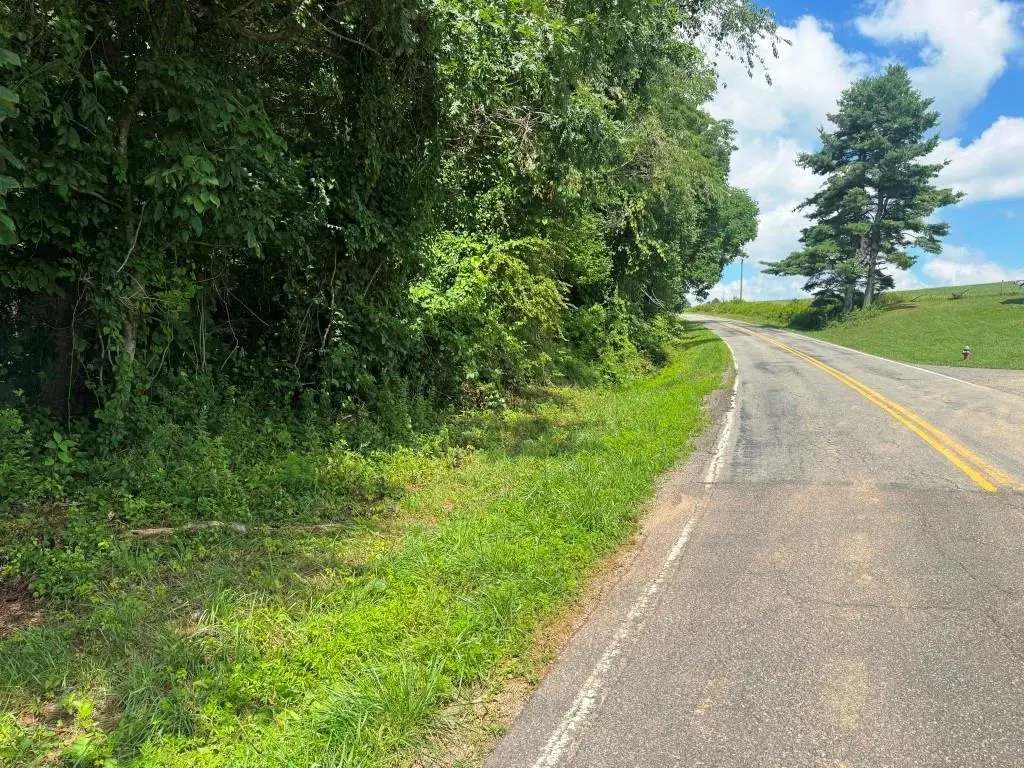 Lot 1 Kelly Rd, Fancy Gap, VA 24328 - #1