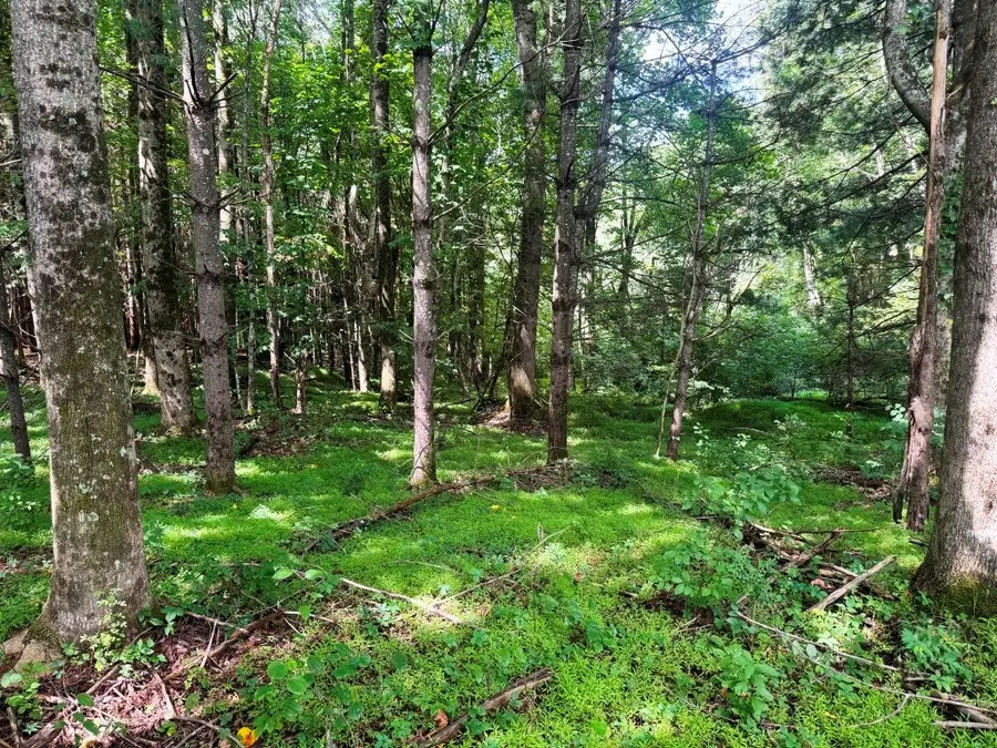 Lot 2 Kelly Rd, Fancy Gap, VA 24328 - #3