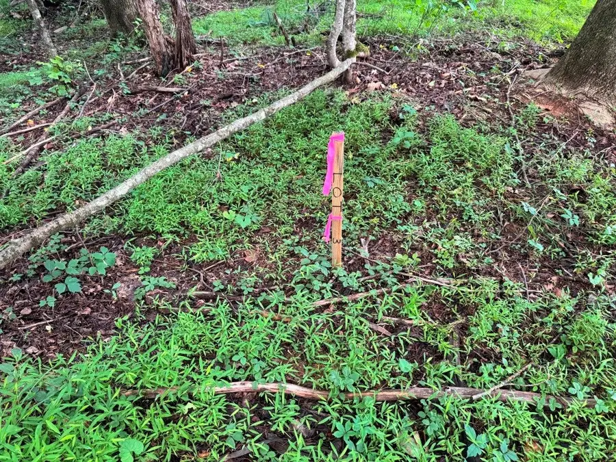 Lot 3 Kelly Rd, Fancy Gap, VA 24328 - #3