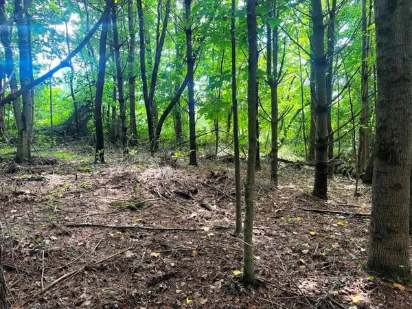 Lot 4 Kelly Rd, Fancy Gap, VA 24328