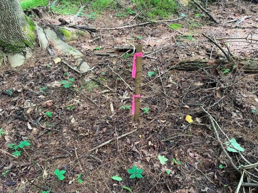Lot 4 Kelly Rd, Fancy Gap, VA 24328 - #3