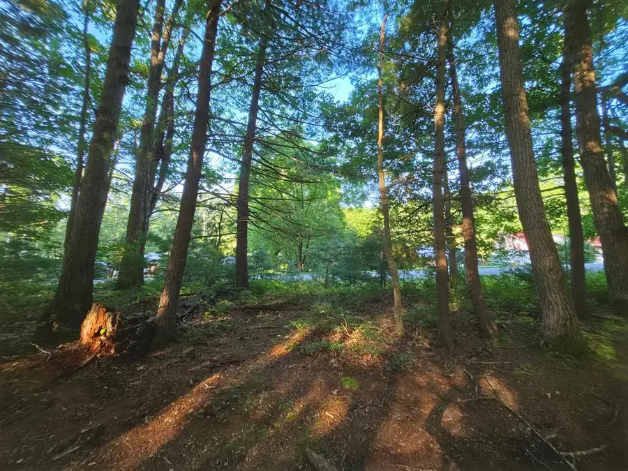 TBD Shady Forest Rd, Max Meadows, VA 24360 - #2