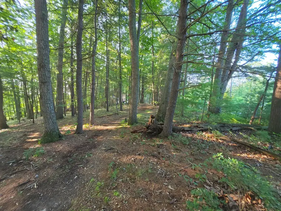 TBD Shady Forest Rd, Max Meadows, VA 24360 - #3